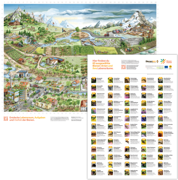 Wimmelbild Set mini 600x609